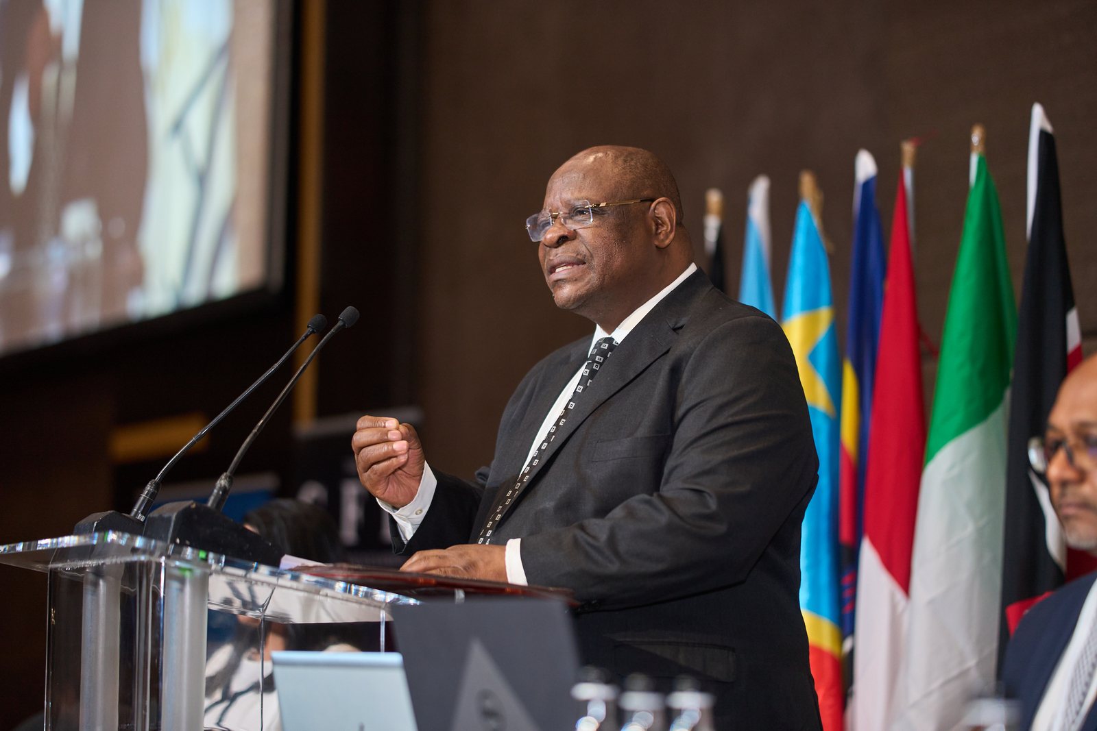 A speaker addressing a conference from the podium, flags behind him